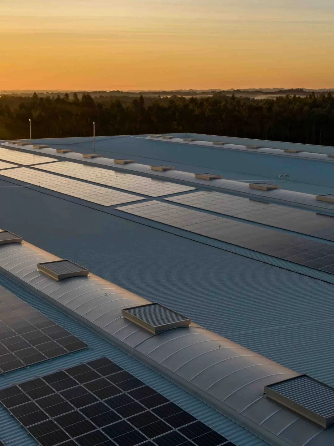 azienda impianti fotovoltaici