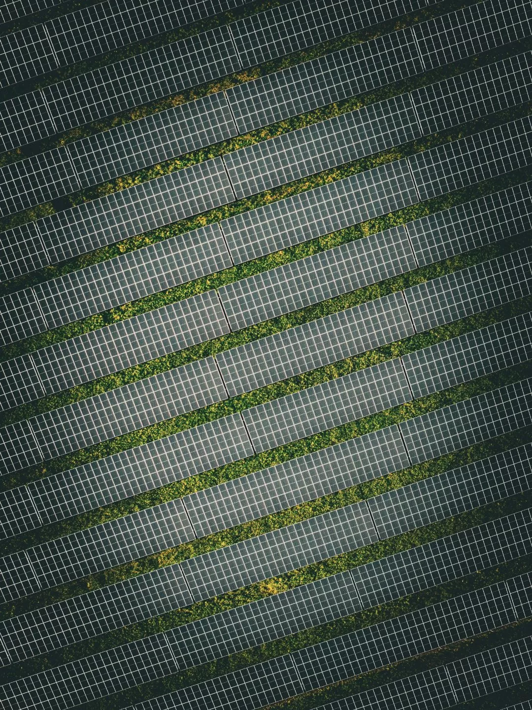 Pulizia pannelli fotovoltaici | Asteco